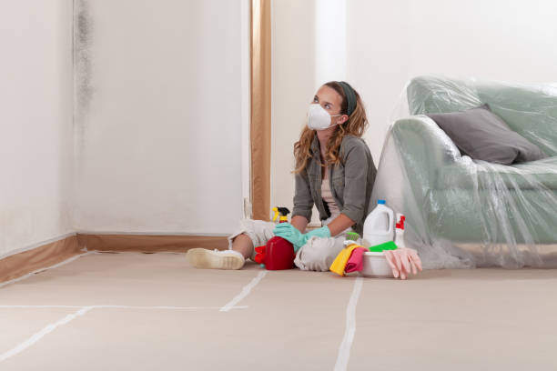 Reliable Mold Remediation contractor in Manassas, VA by Mold Remediation HQ